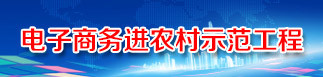 電子商務(wù)進(jìn)農(nóng)村綜合示范工作