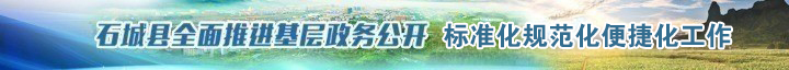 石城縣人民政府欄目基層公開(kāi)標(biāo)準(zhǔn)化規(guī)范化專題